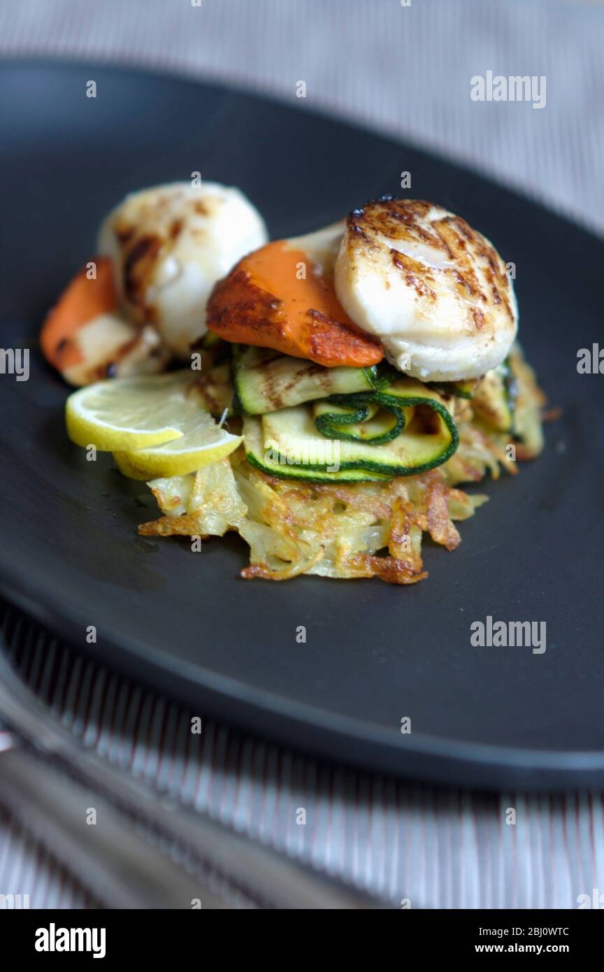 Two seared scallops with their coral on grilled courgette strips with rosti potatoes - Stock Photo