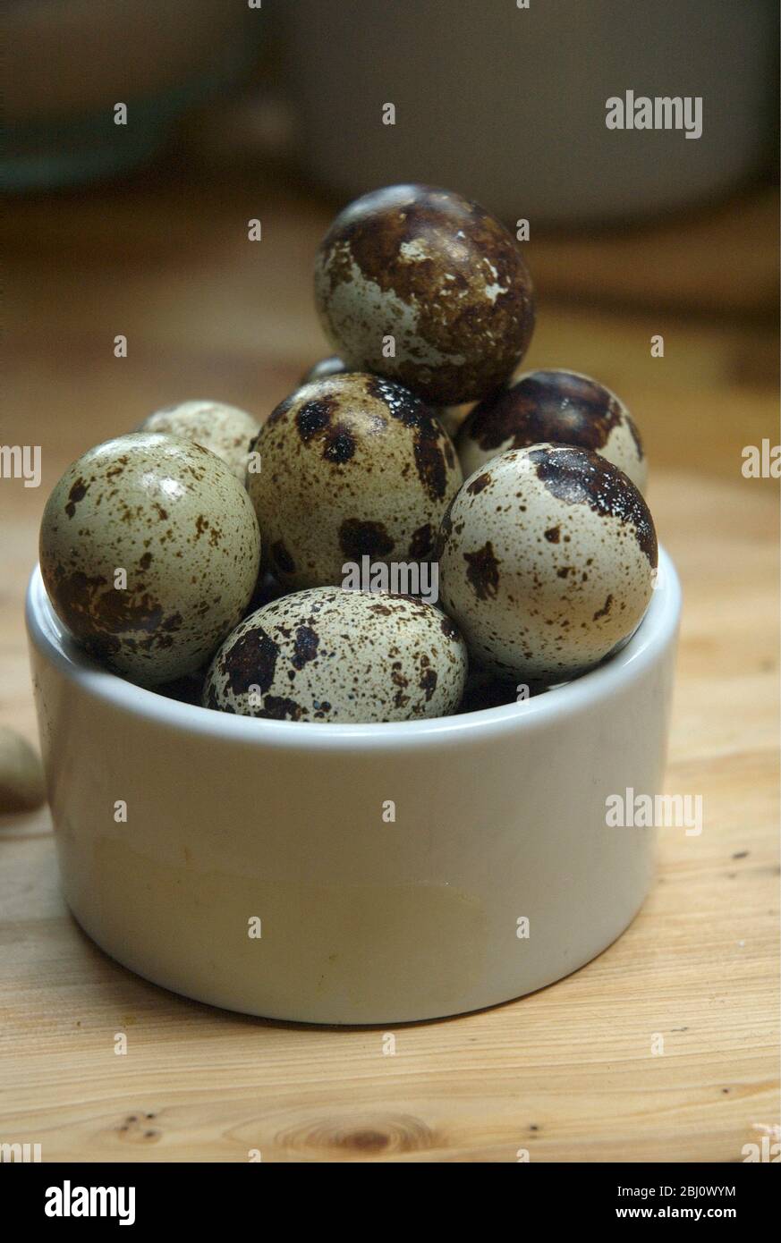 A dozen quails' eggs piled high in small ceramic white pot on wooden boards - Stock Photo