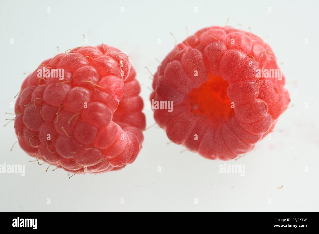 Two fresh raspberries on translucent white surface - Stock Photo
