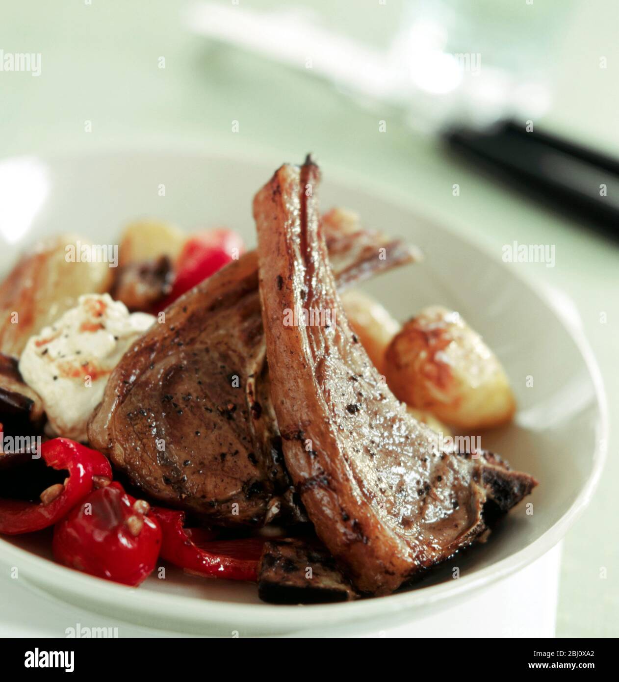 Lamb cutlets on mixed roast vegetables with cremefraiche dressing - Stock Photo