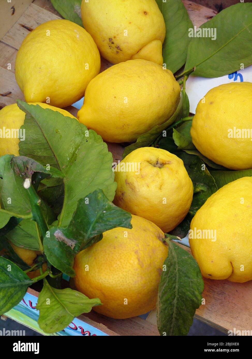 Piles of lemons fresh from the tree with leaves and blossom for sale in the covered market in Menton, south of France - Stock Photo