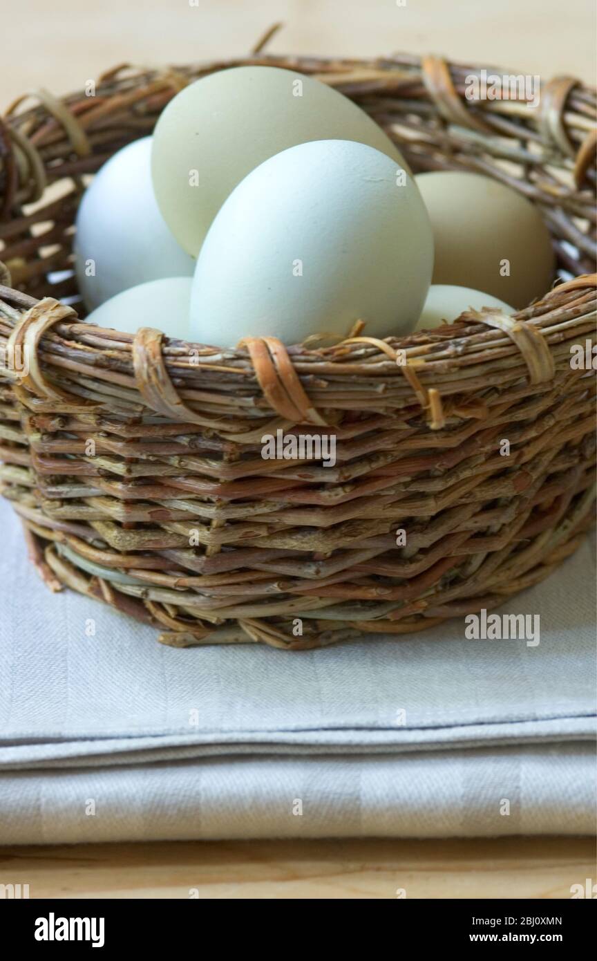 Free range eggs - named varieties - Stock Photo