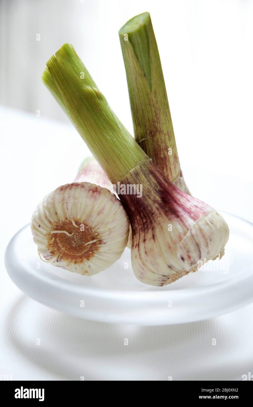 Three fresh young garlic bulbs on small ground glass plate Stock Photo