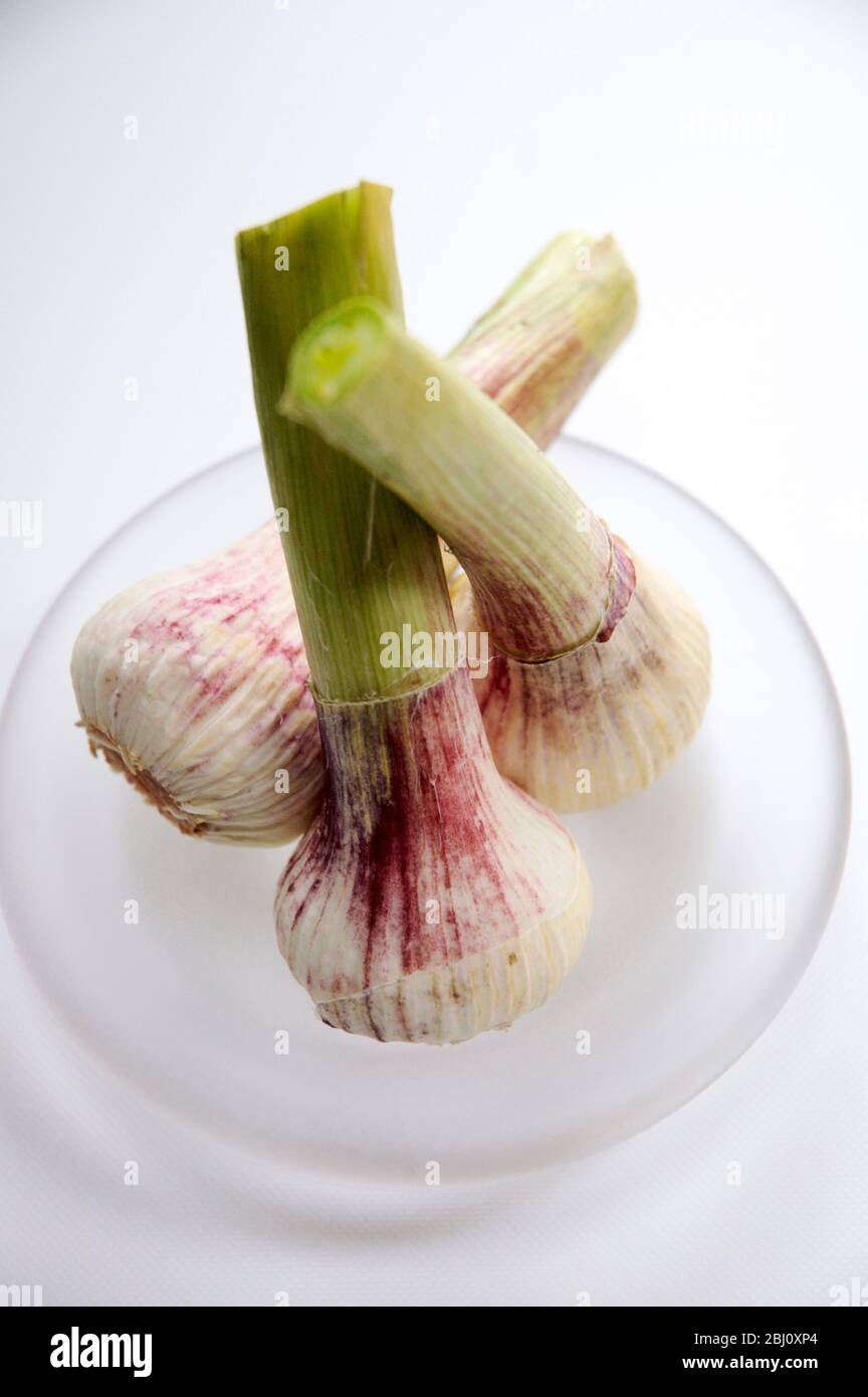 Three fresh young garlic bulbs on small ground glass plate - Stock Photo