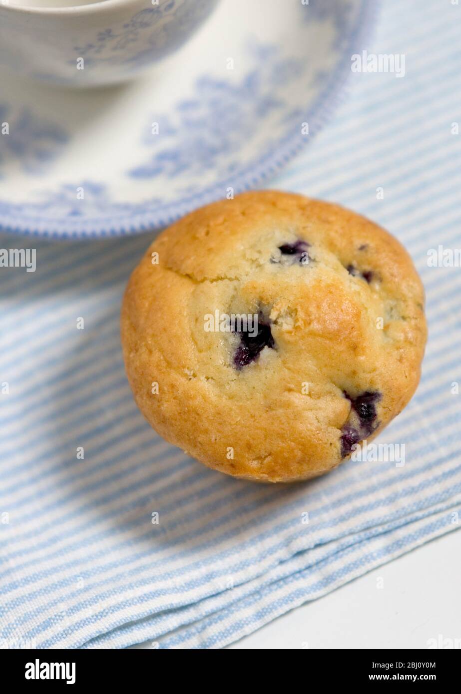 Freshly baked blueberry muffin on blue striped napkin with blue and white china - Stock Photo