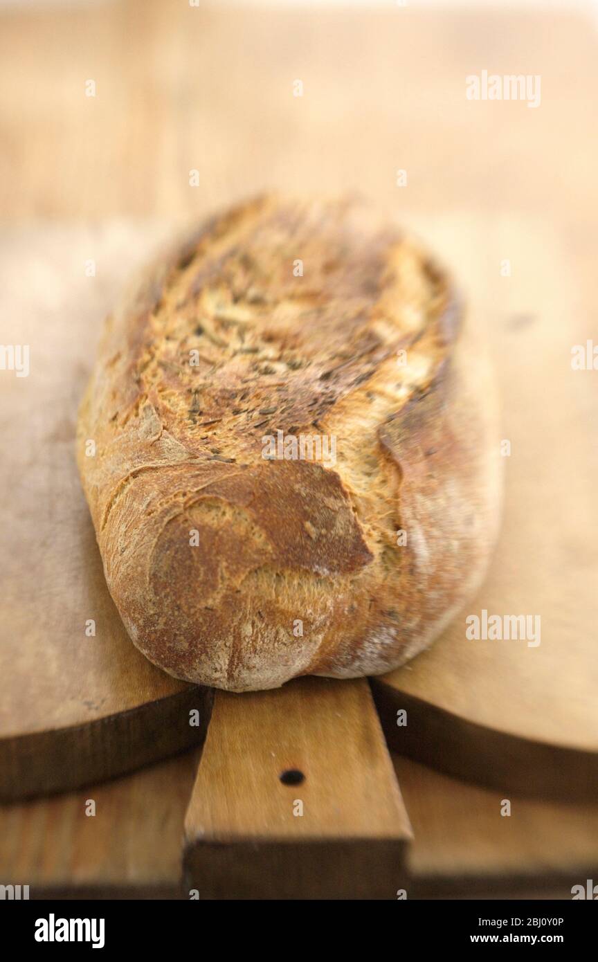Italian rosemary sourdough bread from Apulia, on brown wooden board, sho with lensbaby lens for blur effect - Stock Photo