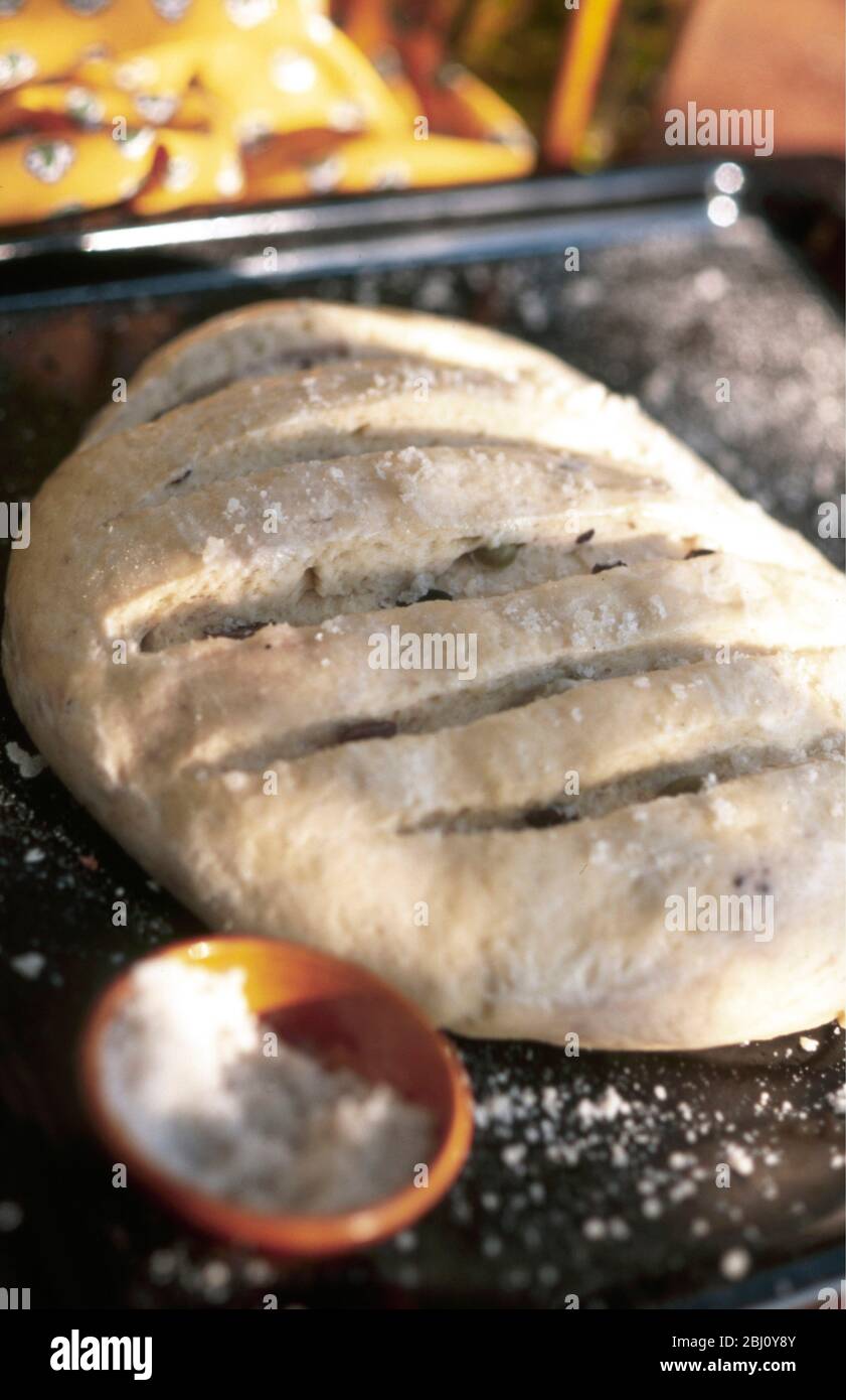 French olive bread, left to rise in warm spot Stock Photo Alamy