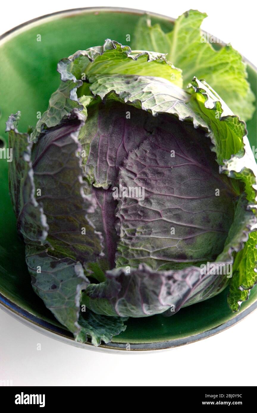 Organic cabbage head Stock Photo Alamy