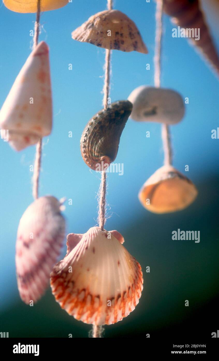 A variety of small seashells threaded onto string as a decorative windchime - Stock Photo