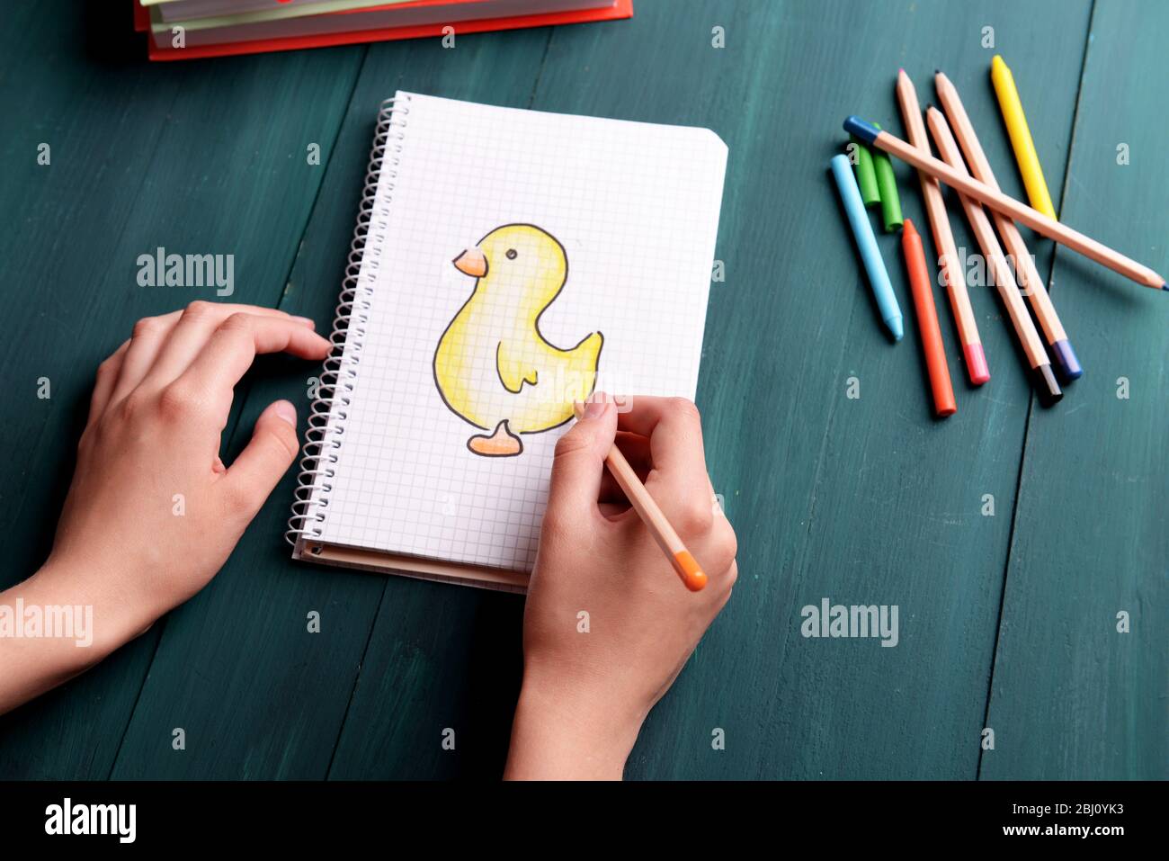 Female Hands Drawing Duck In Notebook On Wooden Table Background Stock Photo Alamy
