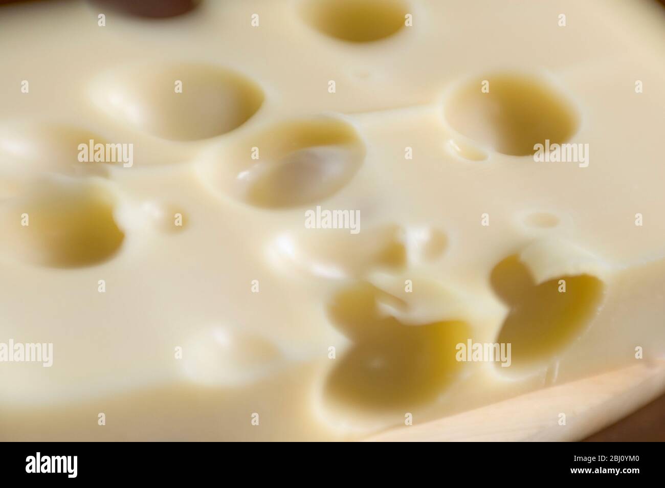 Slab of Emmental cheese shot with lensbabies lens for short depth of field effect - Stock Photo