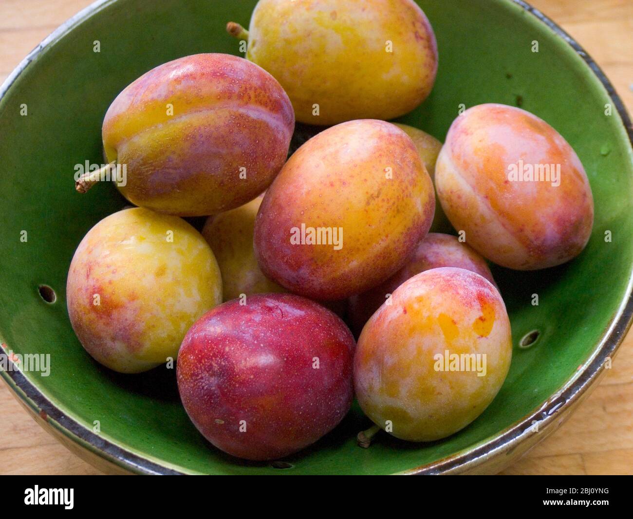 Green pottery strainer bowl of victoria plums - Stock Photo