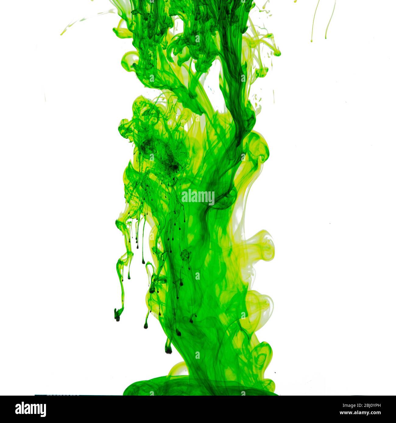 food coloring in water, Solubility of color in water, Watercolor or ink