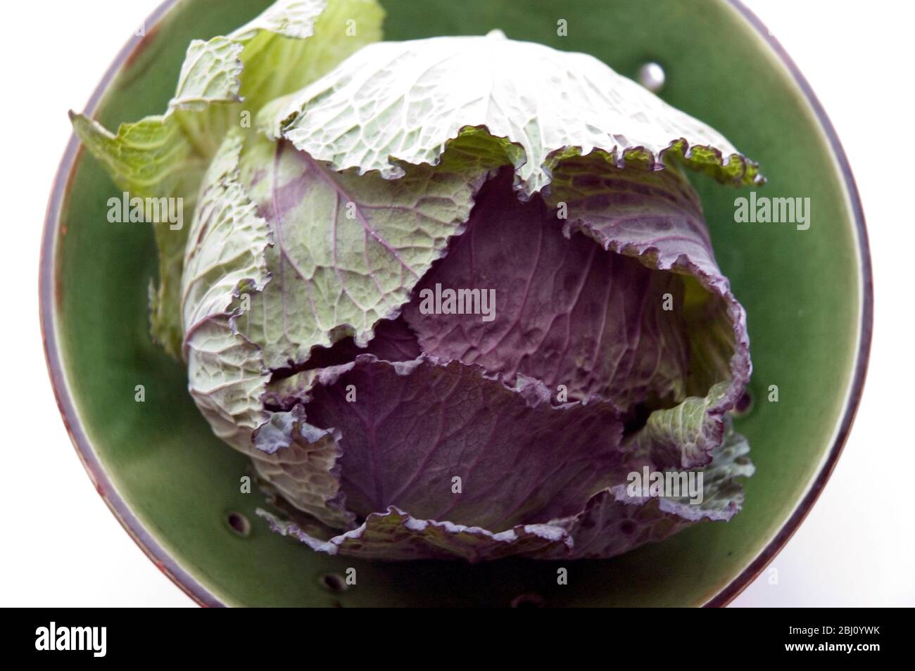Organic cabbage head - Stock Photo