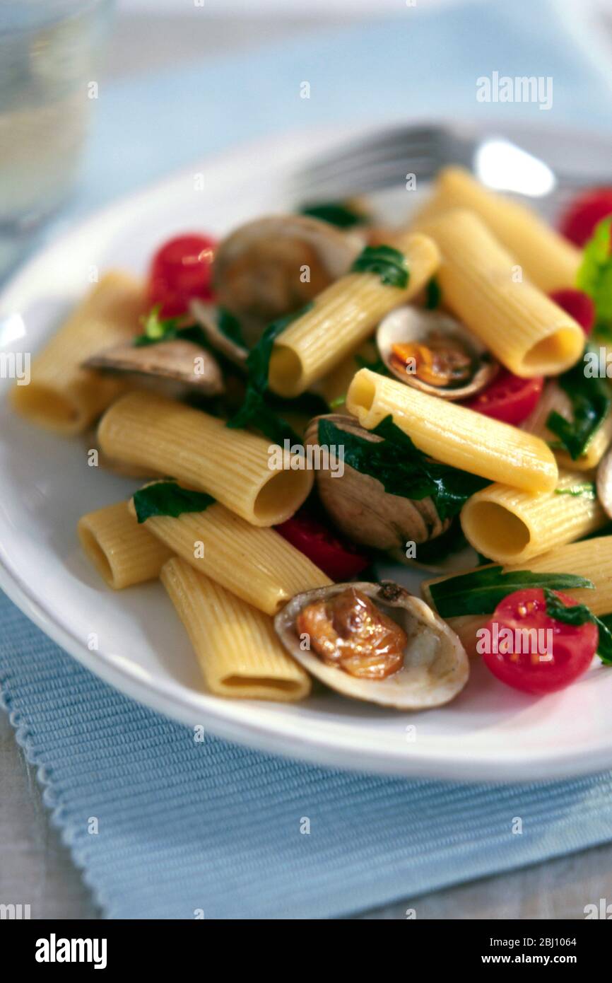 Pasta dish of rigatoni pasta tube shapes with clams and cherry tomatoes - Stock Photo