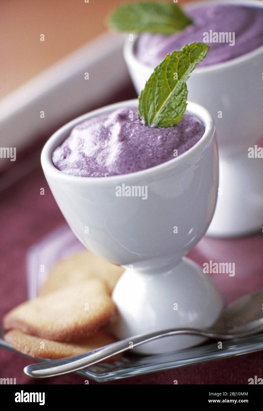 Blackcurrant fool in white bowl decorated with mint sprig - Stock Photo