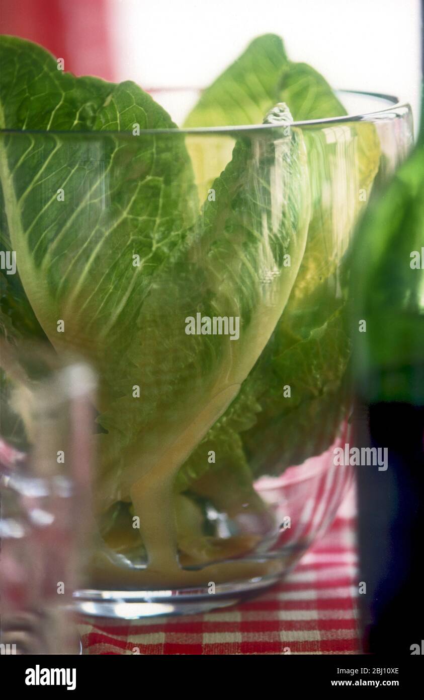 Cos lettuce in tall glass salad bowl on table setting with red check table cloth and bottle of wine - Stock Photo