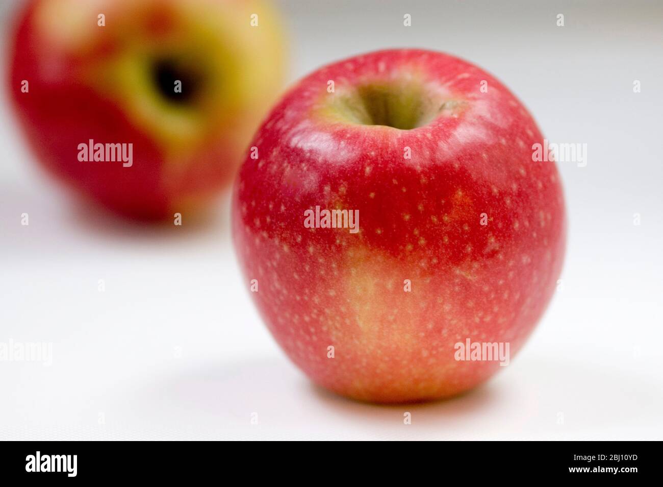 Two shiny red eating apples - Stock Photo