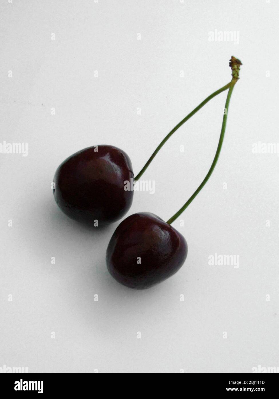 Pair of dark red cherries on white surface - Stock Photo