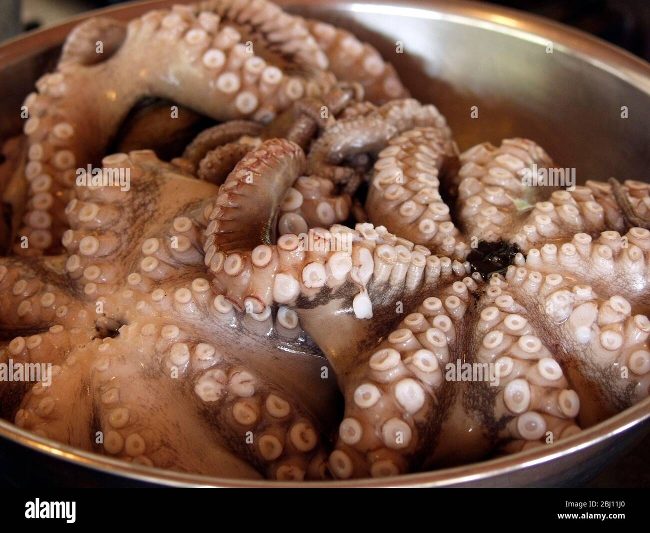 Bowl of octopus ready for preparation for Italian recipe - Stock Photo