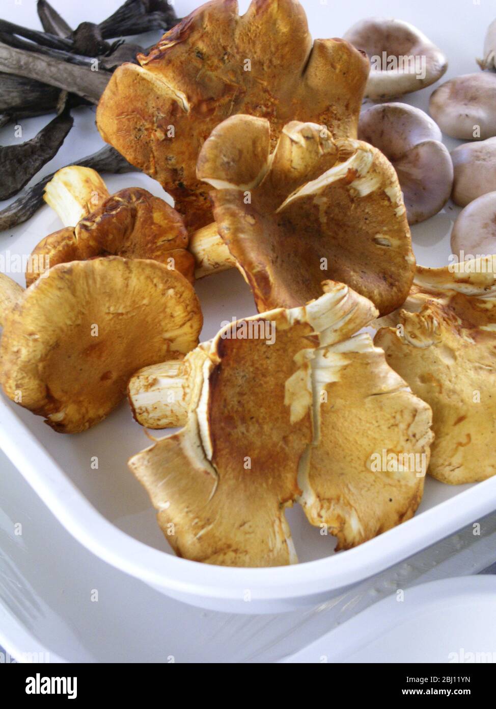 Exotic mushrooms prepared ready for cooking - Stock Photo