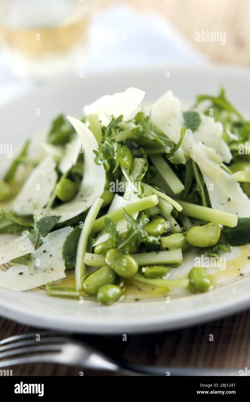 Salad of broad beans rocket parmesan cucumber and mint - Stock Photo