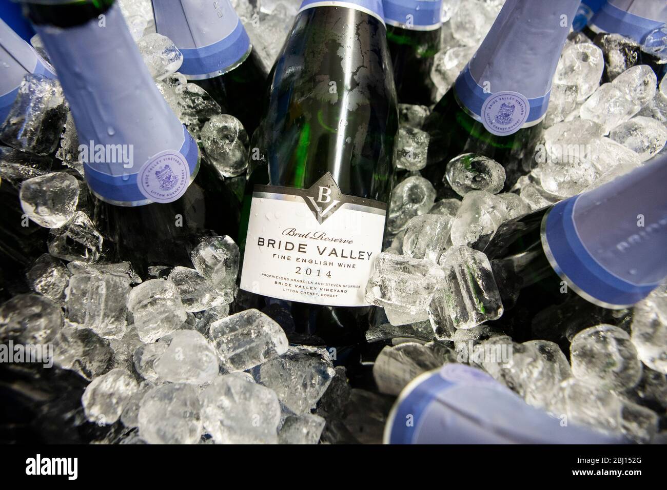 Stunning Ice White Champagne & Sparkling Wine Bottles – Glass Of