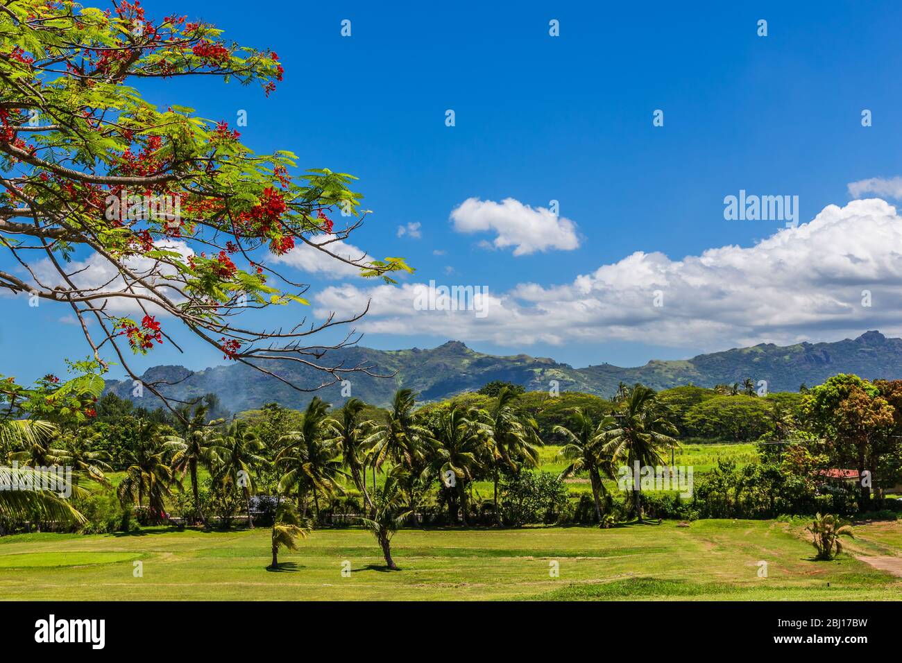 View of palm trees with the Sleeping Giant mountains in the background. Stock Photo