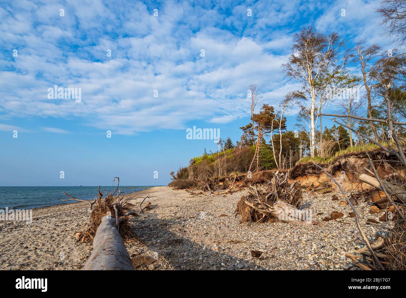 Landscape on shore of the Baltic Sea in Graal Mueritz, Germany. Stock Photo