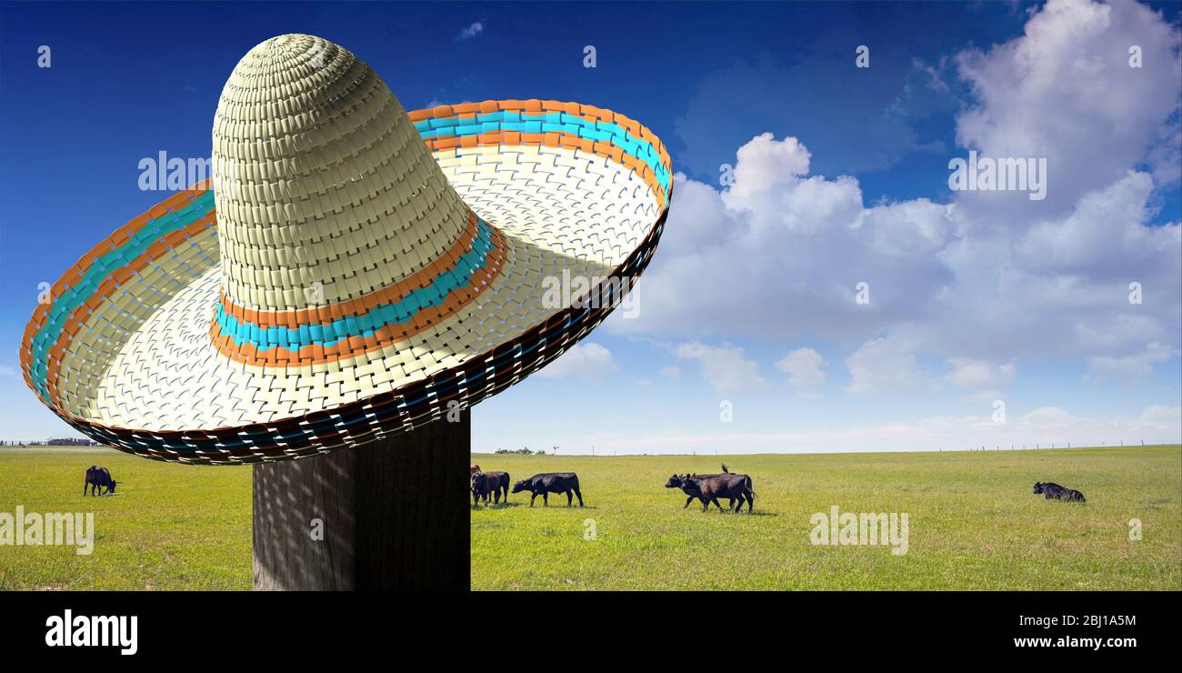 Sobrero mexican hat shade sun protection, green field pasture with cattle  and sky with clouds background. 3d illustration Stock Photo - Alamy
