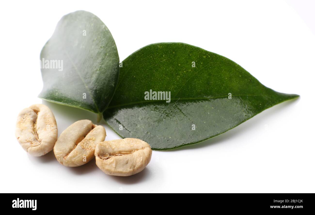 Green coffee beans with leaves isolated on white Stock Photo - Alamy