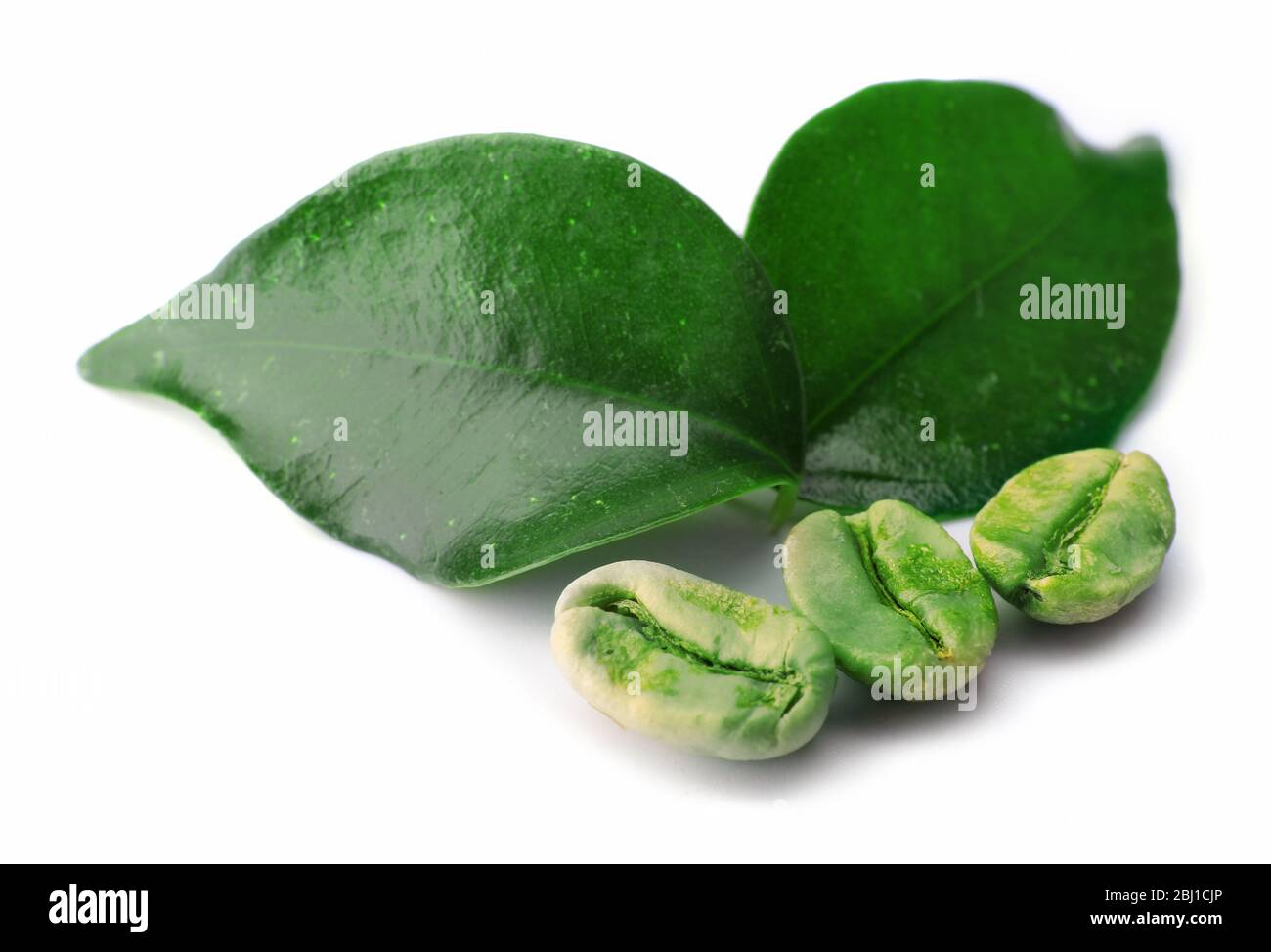 Green coffee beans with leaves isolated on white Stock Photo - Alamy