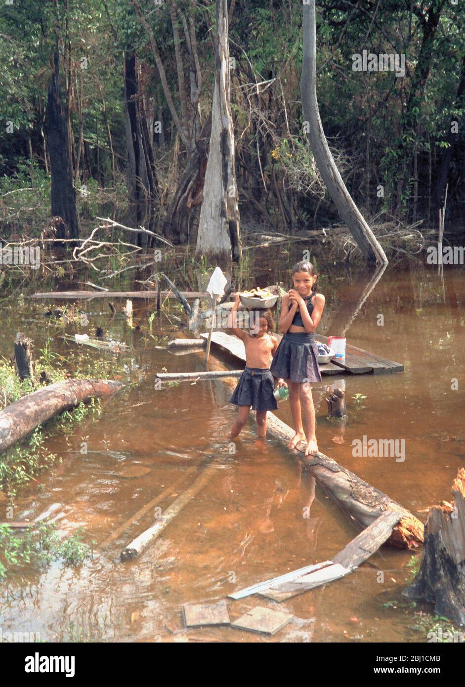 Two Little Indigenous Girls In The Amazon Rainforest In The 1980s Brazil Stock Photo Alamy