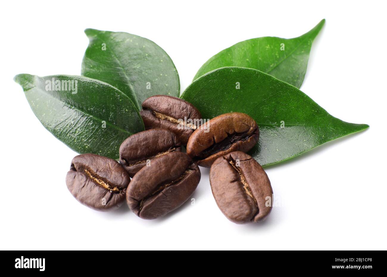 Coffee beans with leaves isolated on white Stock Photo - Alamy