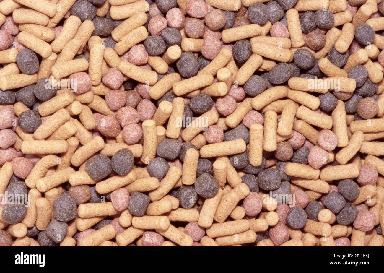 Pellet food for tropical fish Stock Photo Alamy