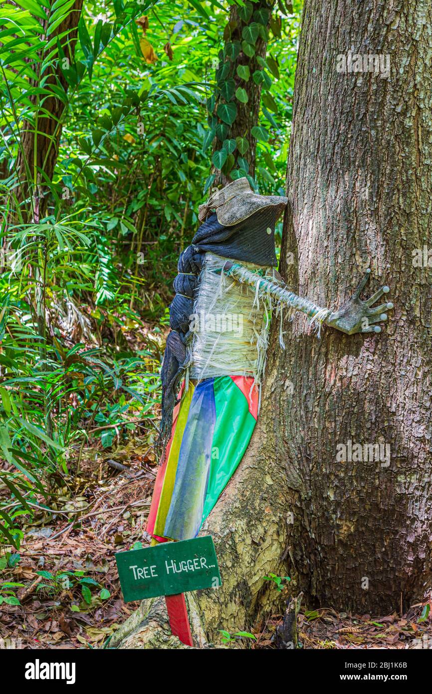 Nausori Highlands, Fiji, January 7, 2020: Tree hugger in the Garden of the Sleeping Giant. Stock Photo