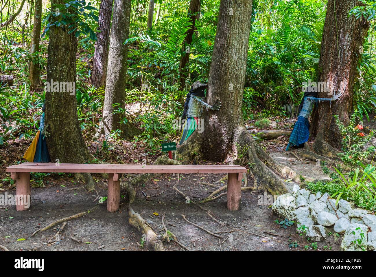 Nausori Highlands, Fiji, January 7, 2020: Tree huggers in the Garden of the Sleeping Giant. Stock Photo