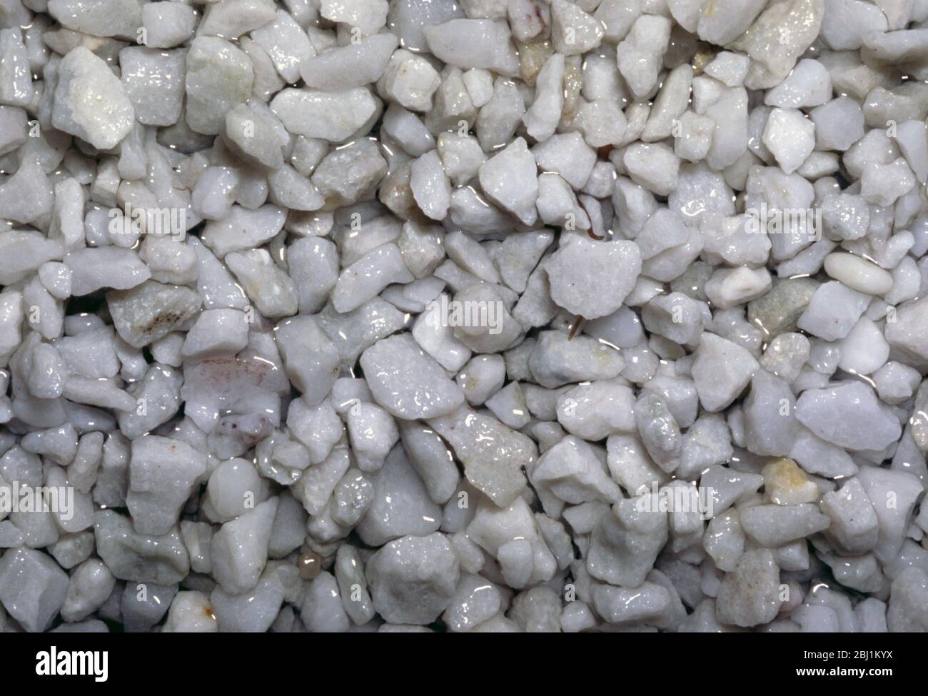 Quartz gravel for aquarium tank Stock Photo Alamy
