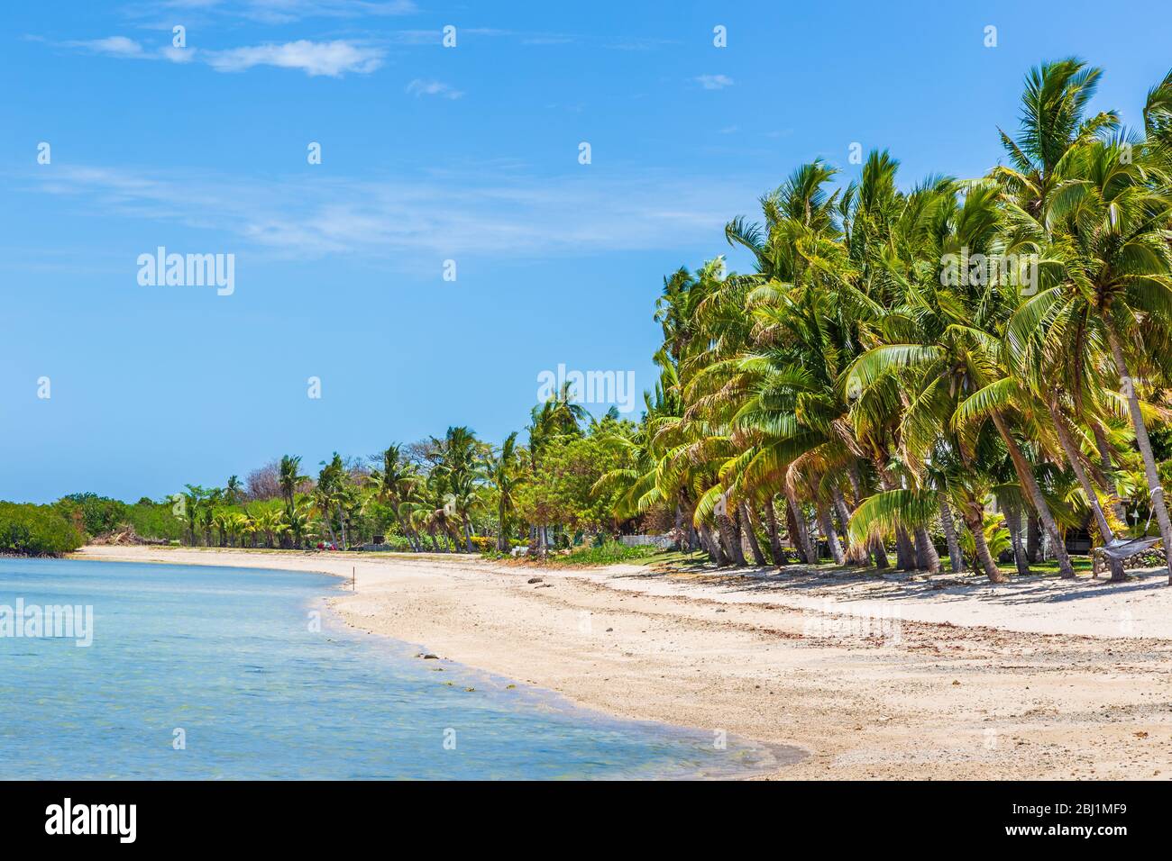 Nalamu Beach, backed by palm trees, under a blue sky, Fiji. Stock Photo