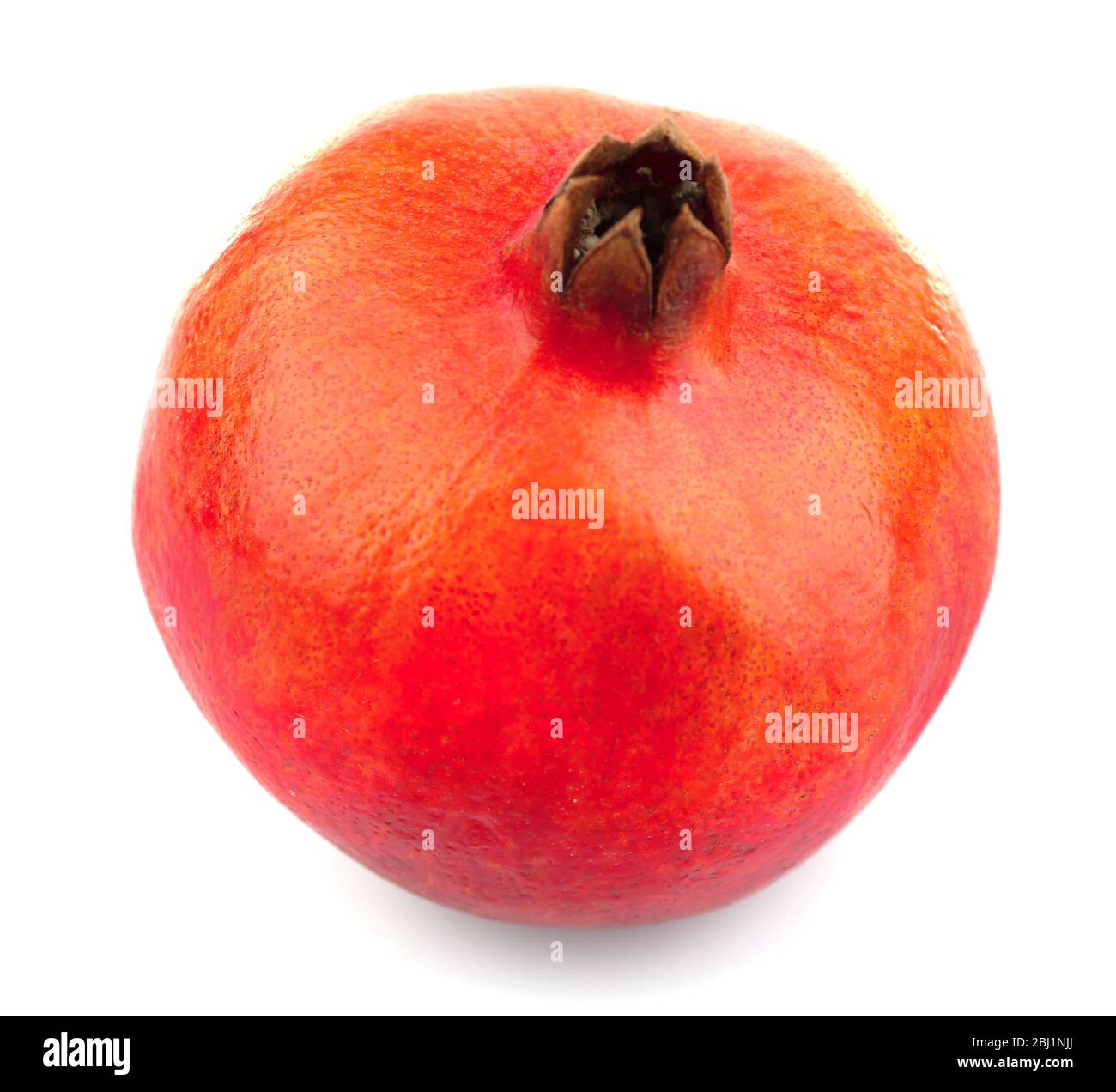 x90 white pomegranate