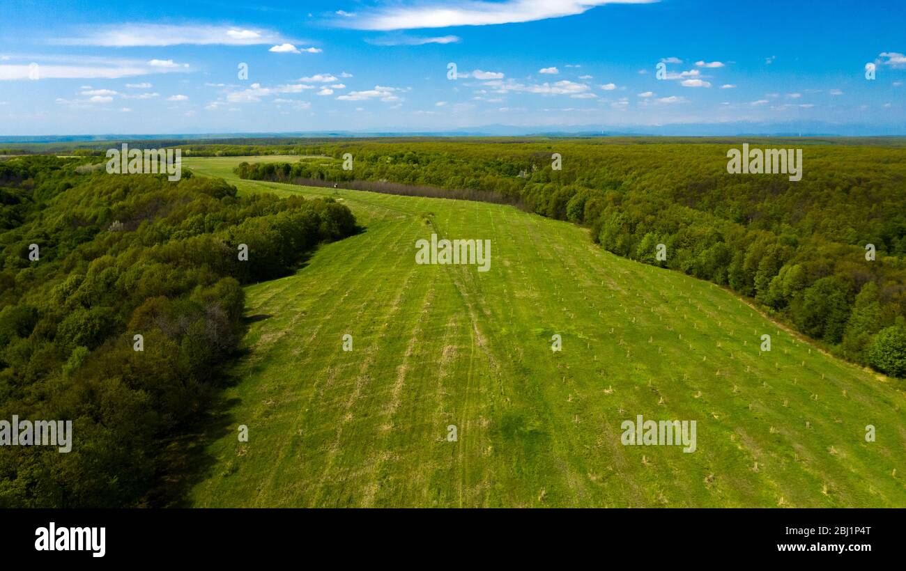 Aerial View of drone flying over the green forest Stock Photo - Alamy