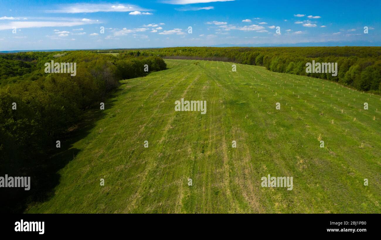 Aerial View of drone flying over the green forest Stock Photo - Alamy