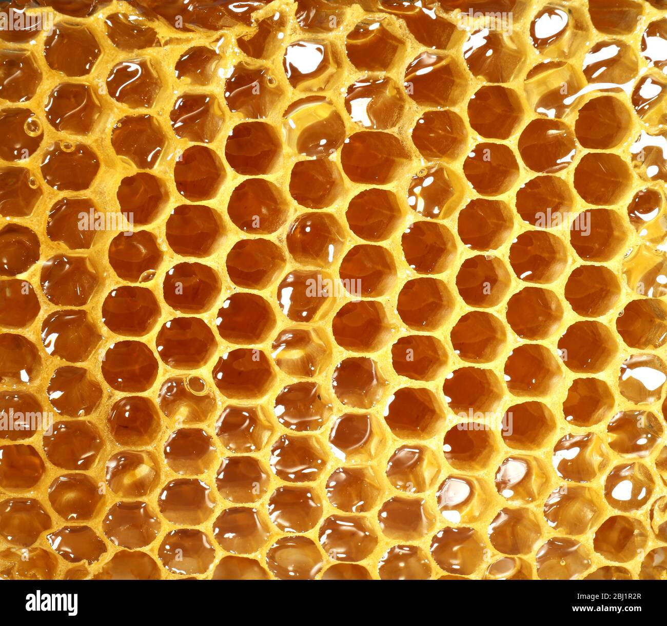 Honeycomb Exploding Honeycomb text hi-res stock photography and images - Alamy