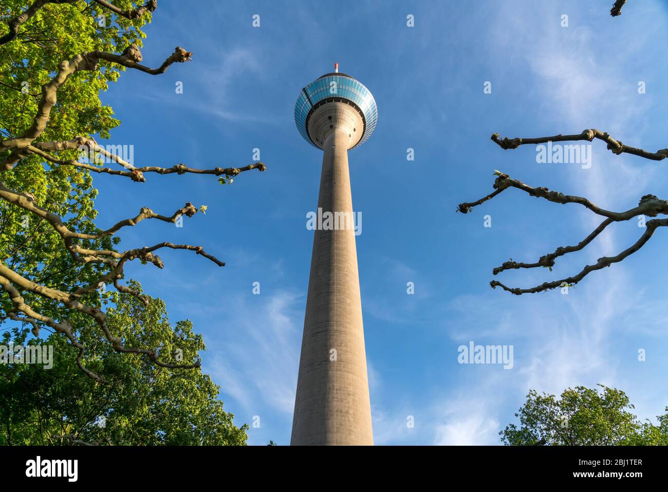Fernsehturm Rheinturm, Landeshauptstadt Duesseldorf, Nordrhein-Westfalen, Deutschland, Europa |  Rhine Tower  telecommunications tower, federal state Stock Photo