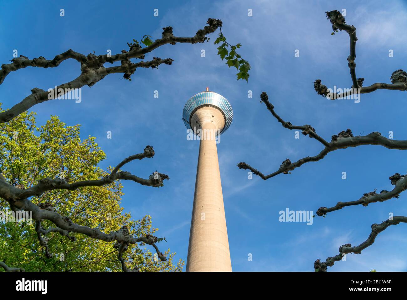 Fernsehturm Rheinturm, Landeshauptstadt Duesseldorf, Nordrhein-Westfalen, Deutschland, Europa |  Rhine Tower  telecommunications tower, federal state Stock Photo