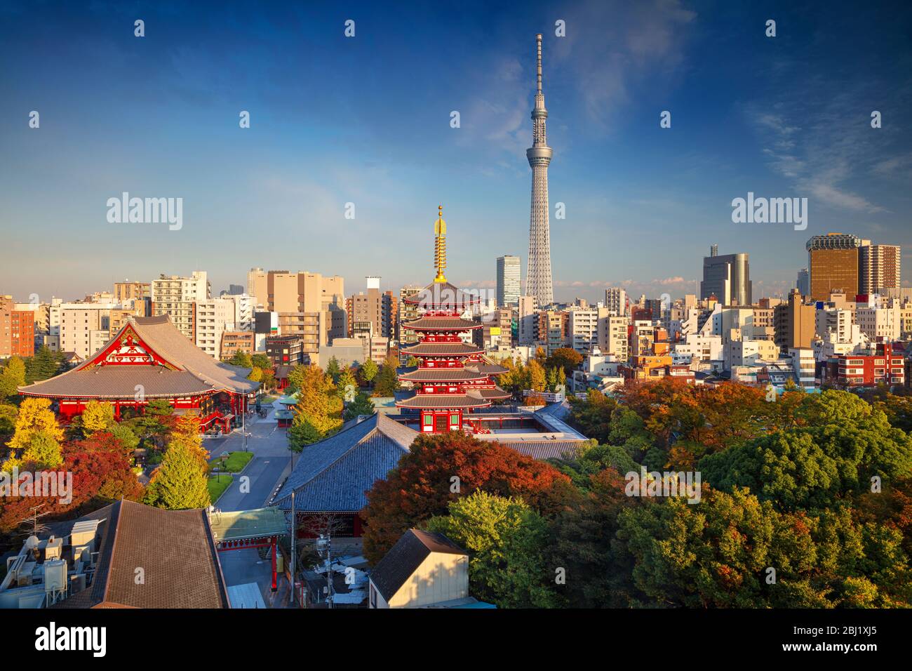 Tokyo. Cityscape image of Tokyo skyline during sunny autumn day in Japan. Stock Photo