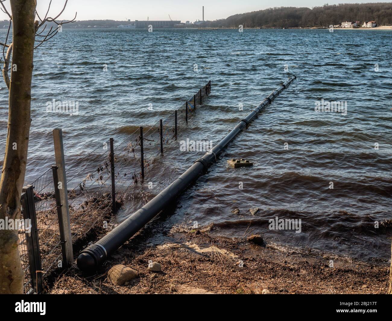 Wild boars fence on the Danish German border, Denmark Stock Photo