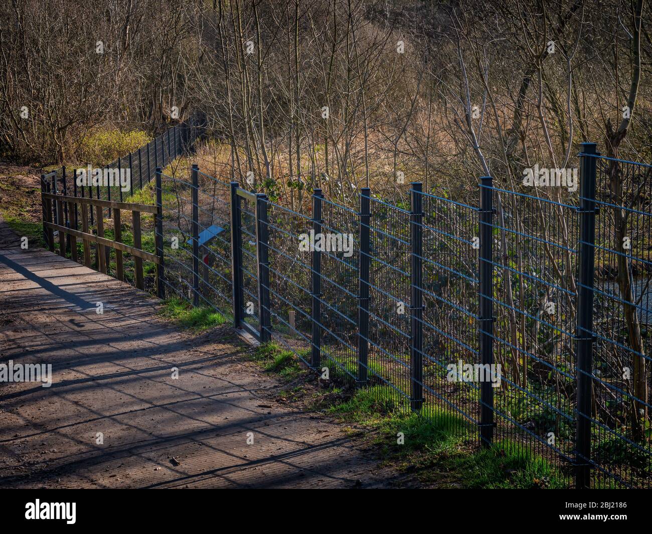 Wild boars fence on the Danish German border, Denmark Stock Photo