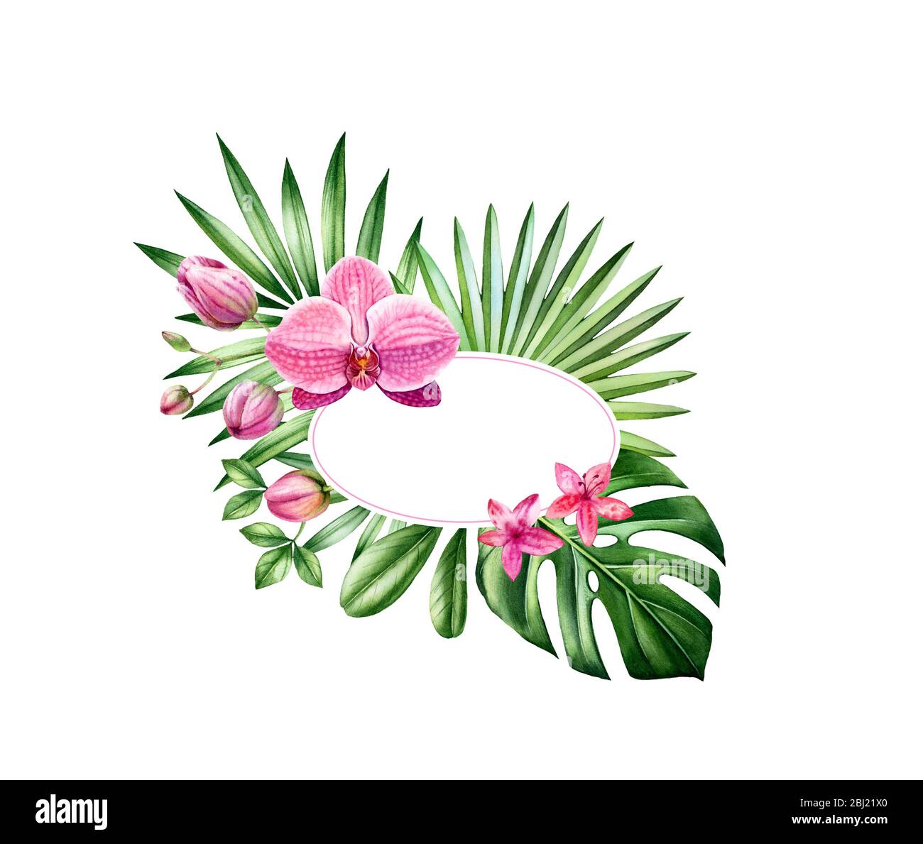 Watercolor floral banner. Oval frame with place for text. Big pink orchid flowers and palm leaves. Hand painted tropical background for logo and cards Stock Photo