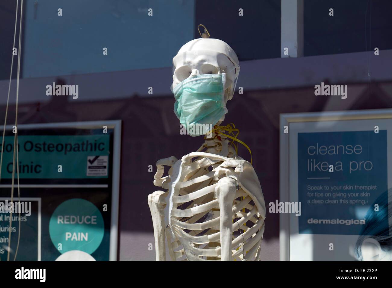 Download Skeleton Face Mask High Resolution Stock Photography And Images Alamy PSD Mockup Templates